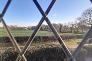 View To The Front- click for photo gallery